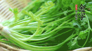 挑選鮮嫩的香菜，洗干凈后，處理成小段。