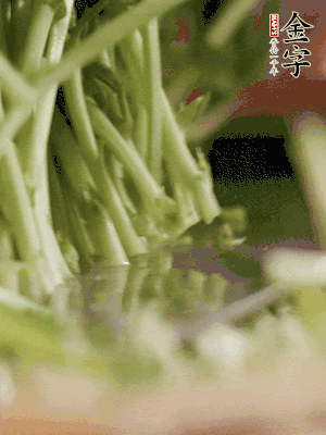 新鮮豌豆苗割下洗凈。